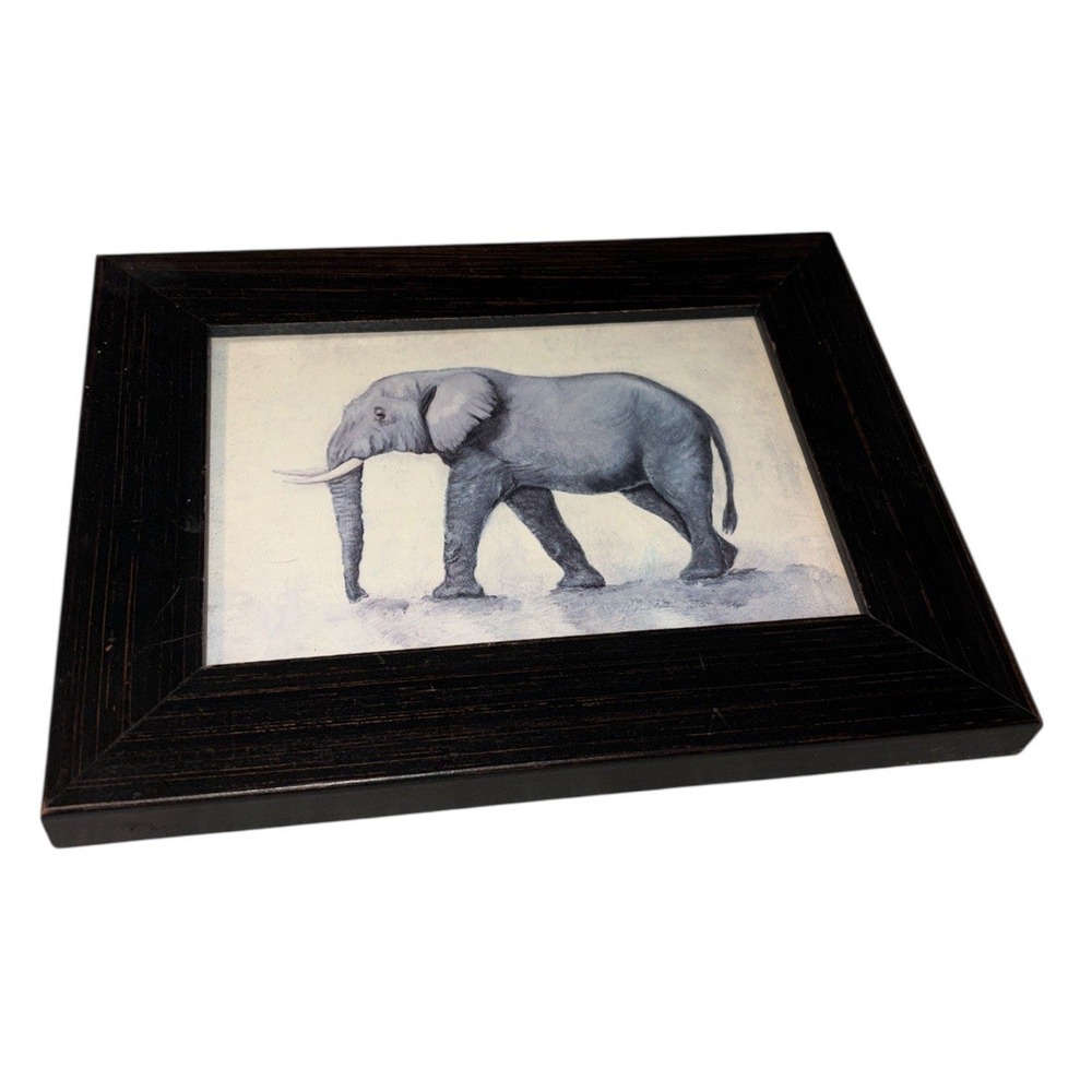 Alexandra Churchill Elephant Africana Framed Out Of Africa Pier One 5X7
